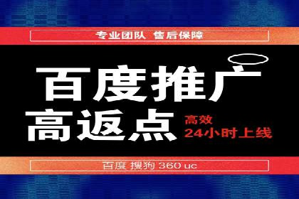某某SEM团队成功提升网站流量与转化率的实战经验