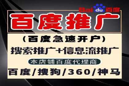 案例研究：信息流广告投放优化